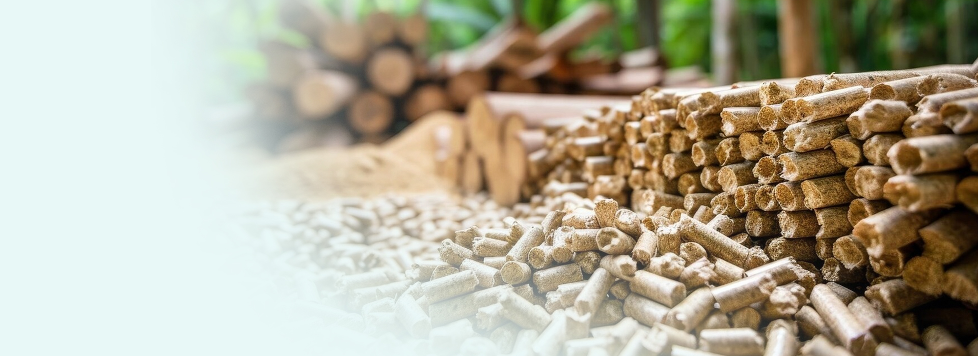 rupan renewable career